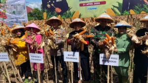 panen-jagung-polres-ponorogo-dan-pemkab-bulog-siap-serap.jpg