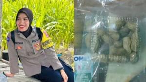 polisi-dibunuh-istri-MBG-kacang-rebus.jpg