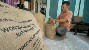 produksi-kopi-excelsa-di-jombang.jpg
