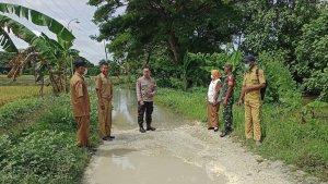 ratusan-hektar-sawah-di-bojonegoro-terendam-banjir.jpg