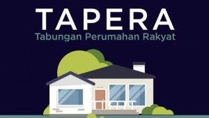 taperaa.jpg