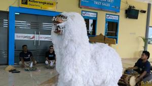 warga-kecewa-tidak-penerbangan-di-Bandara-Jember-tiga-kali.jpg