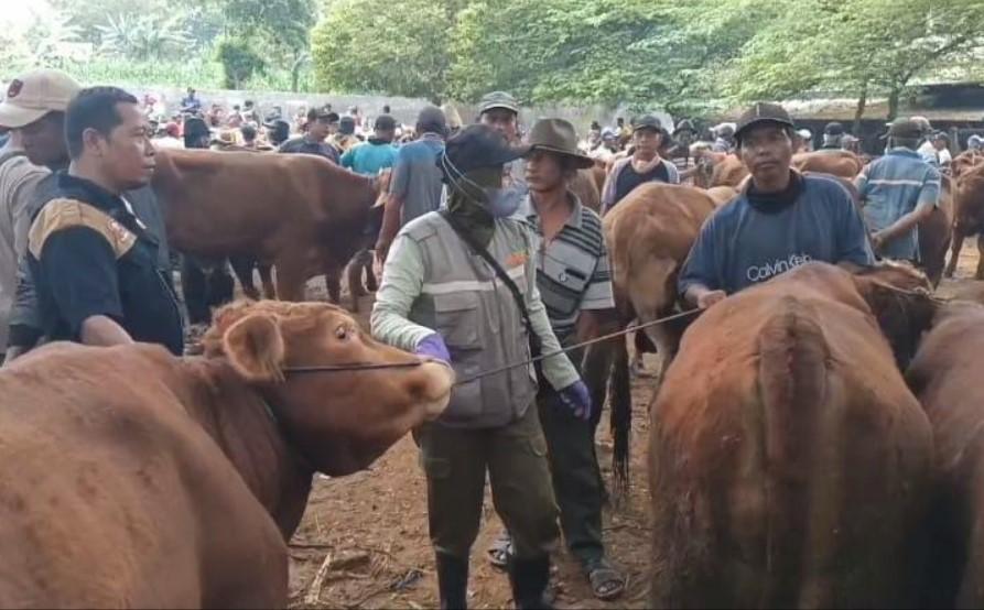 Aktivitas-jual-beli-sapi-dan-kambing.jpg
