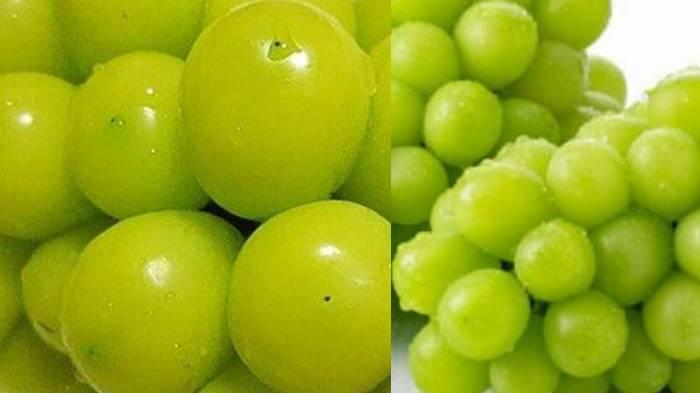 Anggur-shine-muscat-yang-diduga-senyawa-kimia-berbahaya.jpg