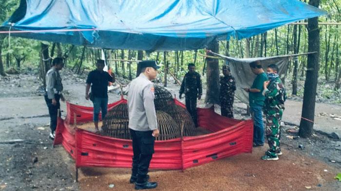 Kucing-kucingan dengan Petugas, Arena Judi Sabung Ayam di Jombang Kerap Berpindah Tempat