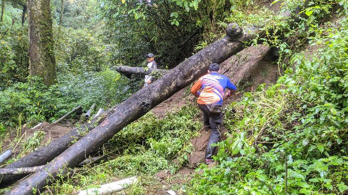 Pipa Rusak Imbas Banjir dan Tanah Longsor, BPBD dan Warga Jampit Bondowoso Lakukan Perbaikan