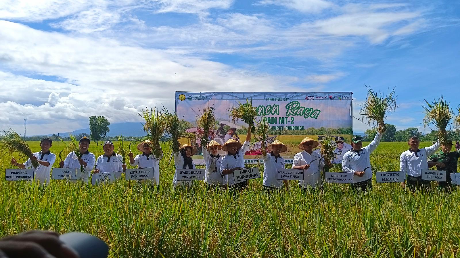 Bulog Ponorogo Tetap Serap Gabah: Lindungi Petani dan Jaga Stok