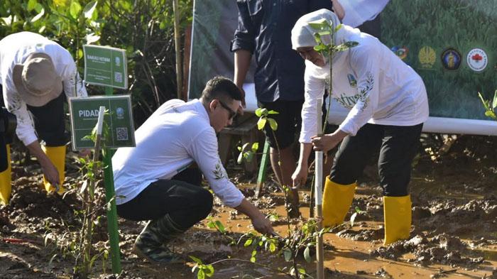 Jaga Kawasan Ekosistem Penyu Trenggalek, Hutan Mangrove Akan Jadi Lokasi Budi Daya Kepiting Bakau