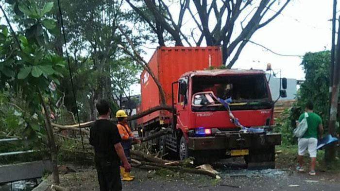 Tersangkut Kontainer, Dahan Pohon Trembesi di Malang Patah Pecahkan Kaca Truk, Jalan Sempat Ditutup