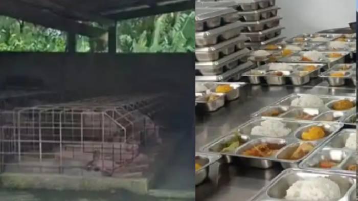 Dapur-SPPG-Sragen-Jawa-Tengah-bersebelahan-dengan-kandang-babi.jpg