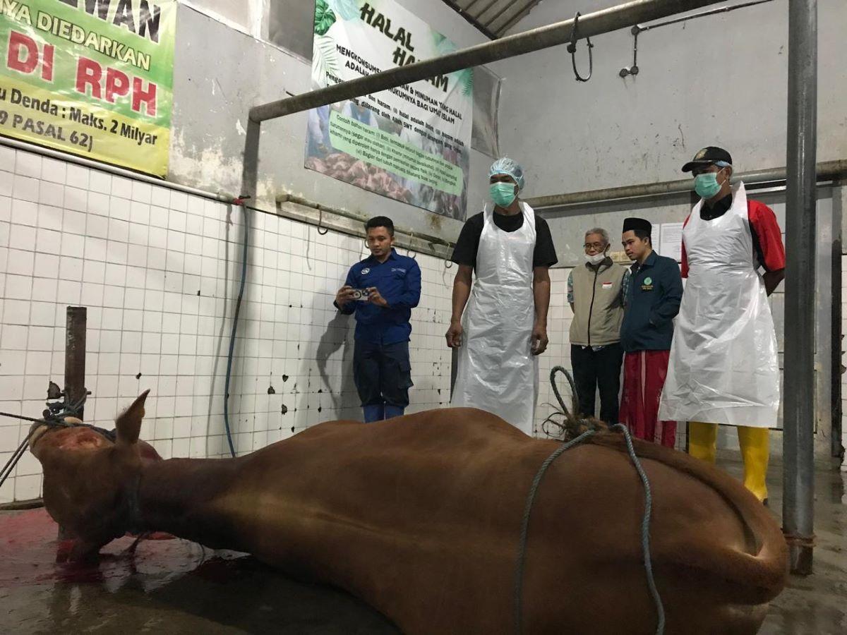 Dinas-Pertanian-dan-Pangan-Dispertan-Banyuwangi-menyiapkan-ratusan-juru-penyembelih.jpg