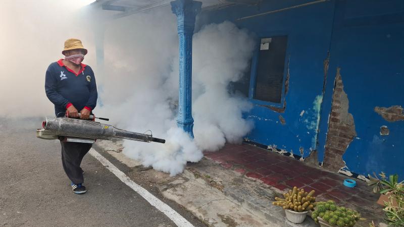 366 Orang di Sampang Madura Terserang DBD hingga Mei 2025, Balita Jadi yang Paling Rentan