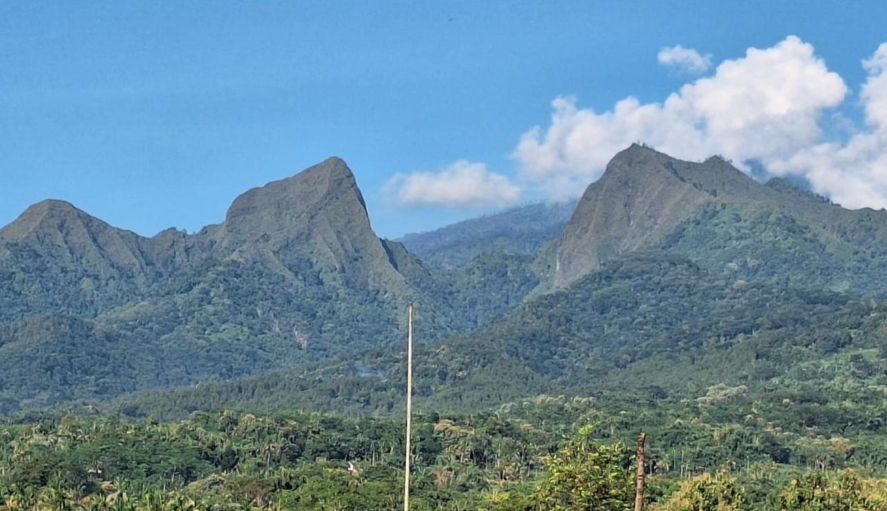 Mengenal Gunung Saeng di Bondowoso, Lokasi Jatuhnya Pendaki Asal Jember, Jalur ke Puncak Ekstrem