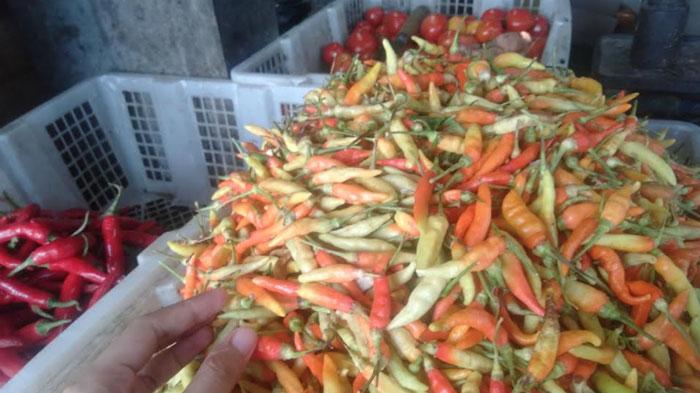 Harga-cabai-di-Gresik-tembus-Rp-100-ribu-per-kilogram.jpg