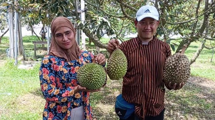 Humam-Ismail-37-dan-istrinya-Wulan-Andriani-35-pemilik-Wisata-Petik-Buah-Musang-King.jpg