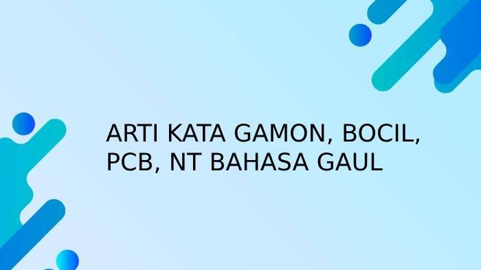 Ilustrasi-arti-kata-gamon-bocil-PCB-dan-NT.jpg