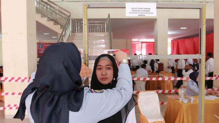 Ilustrasi-pengukuran-tinggi-badan-dan-verifikasi-dokumen-asli-CPNS-2023.jpg