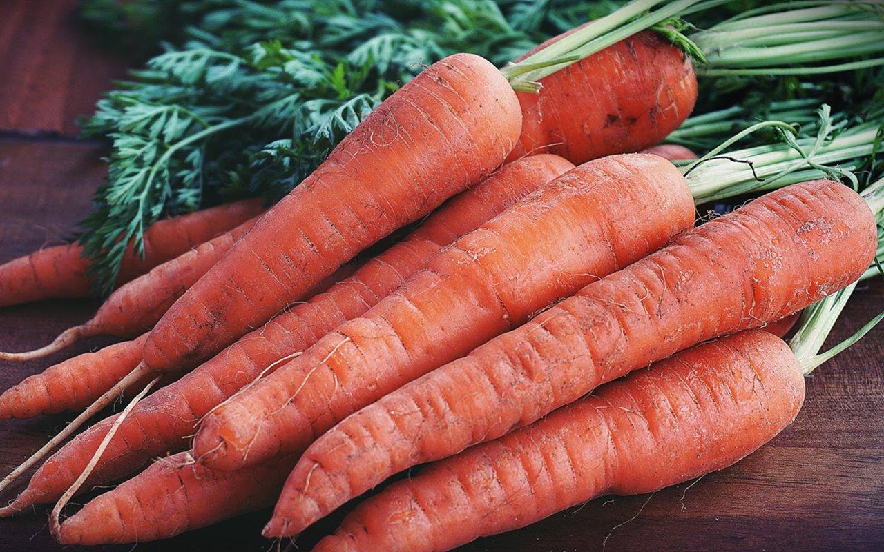 Ilustrasi-wortel-yang-termasuk-dalam-jenis-sayuran-mentah.jpg