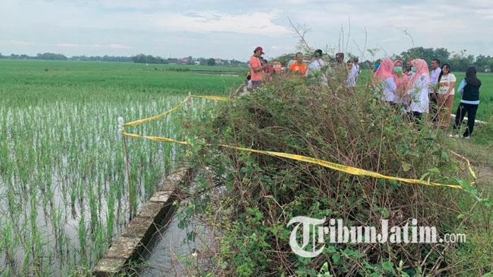 JASAD-TANPA-KEPALA-polisi-melakukan-olah-tempat-kejadian-perkara-penemuan-jasad-tanpa-kepala-jombang.jpg