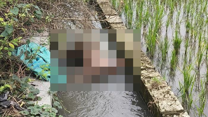 BREAKING NEWS: Jasad Tanpa Kepala di Jombang Gemparkan Warga, Identitas Belum Terungkap