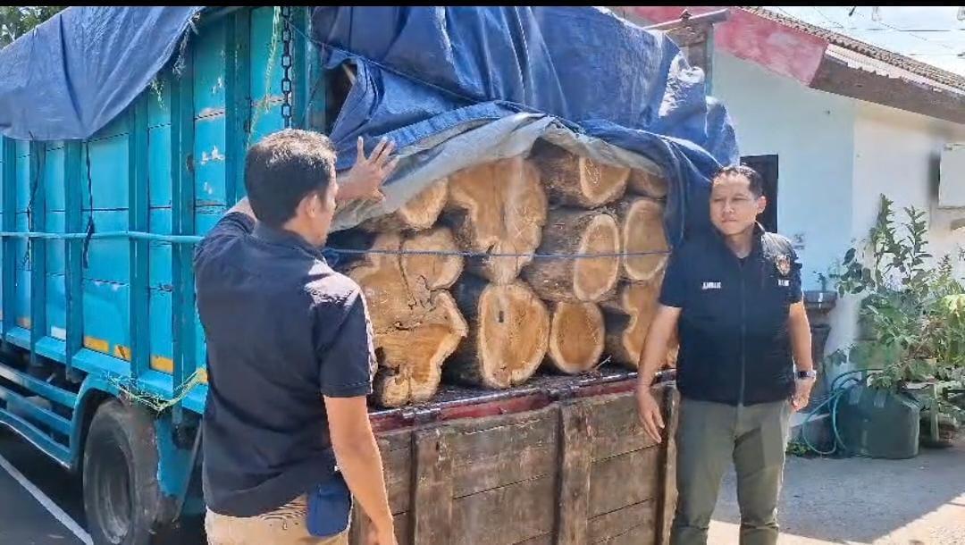 Ilegal Logging di Ponorogo Terbongkar, Dua Pria Ditangkap Saat Angkut Kayu ke Gunung Kidul