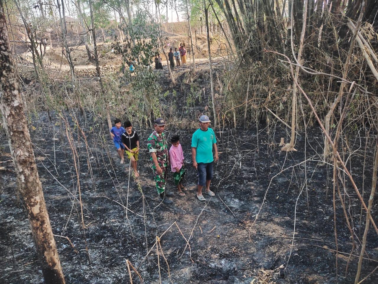 Kondisi-lahan-bambu-milik-korban-pasca-insiden-kebakaran.jpg