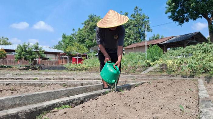 Lima-WBP-Lapas-Kelas-IIA-Kediri-mengikuti-penanaman-terong-di-lahan-Sistem-Asimilasi-Edukasi-SAE.jpg