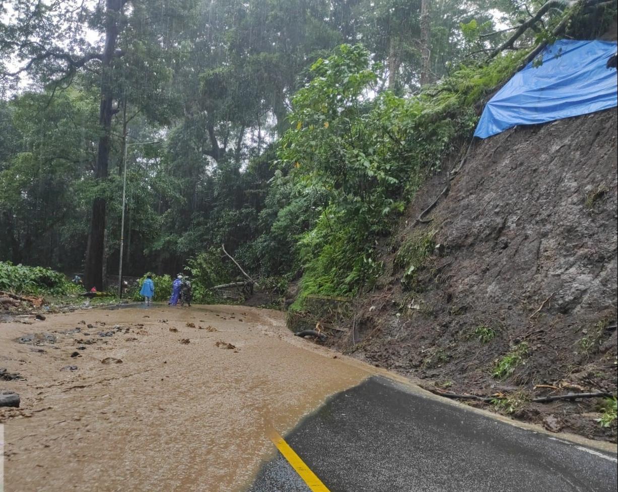 Longsor dan Pohon Tumbang di Jalur Gumitir Jember, Arus Lalu Lintas Sempat Macet Total