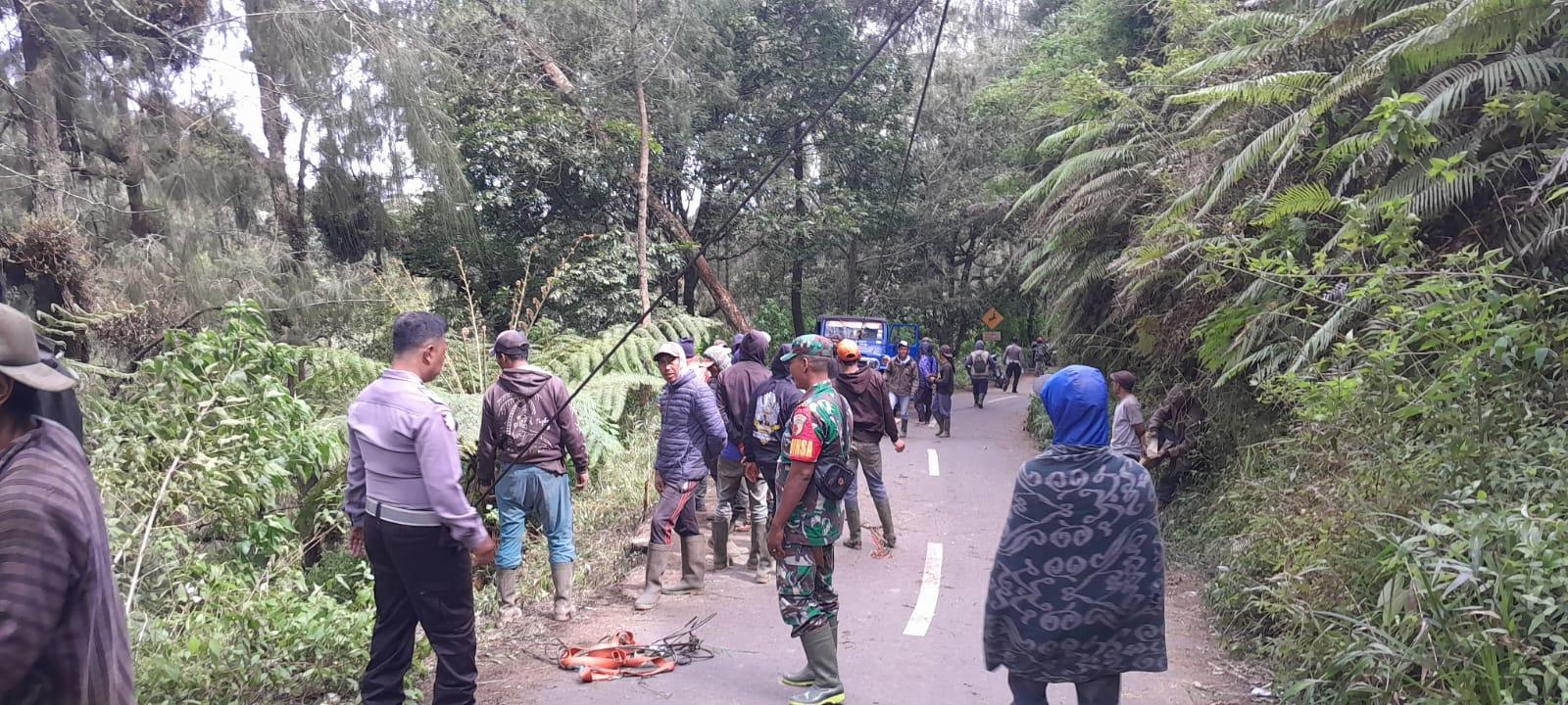 Diduga Sopir Mengantuk, Mobil Pikap Terjun Bebas ke Jurang di Senduro Lumajang, 2 Warga Malang Luka
