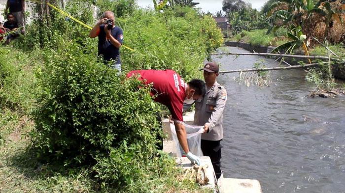 Asal Usul 8 Bagian Tulang dan Tengkorak di Sungai Lumajang Masih Misterius, Ditemukan Terpisah