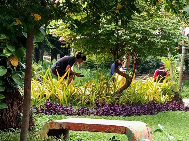 Para-pemburu-Koin-Jagat-blusukan-ke-beberapa-titik-di-Taman-Prestasi-Surabaya.jpg