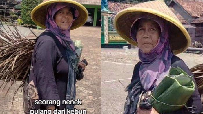 Pekerjaan-Asli-Nenek-Penggendong-Daun-Kering-yang-Ternyata-Kaya-Punya-Fortuner-hingga-Honda-Civic.jpg