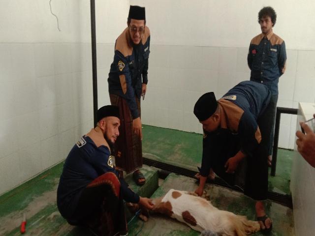 Bacaan Doa Menyembelih Hewan Kurban Hari Raya Idul Adha 2024, Lengkap Disertai dengan Tata Caranya