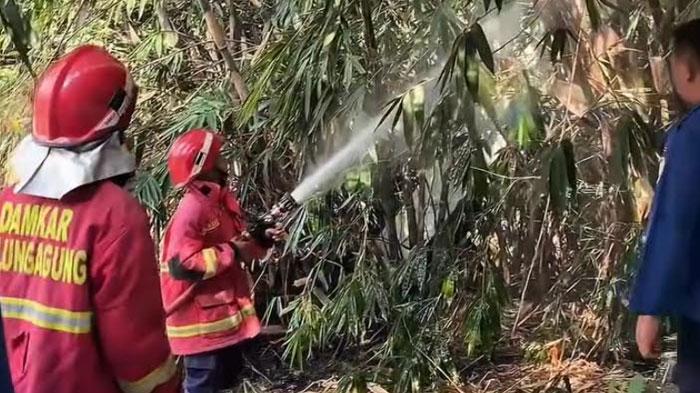 Bahaya Bakar Sampah, Kebakaran di Tulungagung Sering Terjadi Karena Api yang Ditinggal