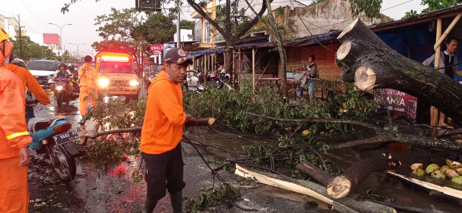 Tujuh Kecamatan di Jember Terdampak Angin Kencang, Sebabkan Kemacetan hingga Pohon Tumbang