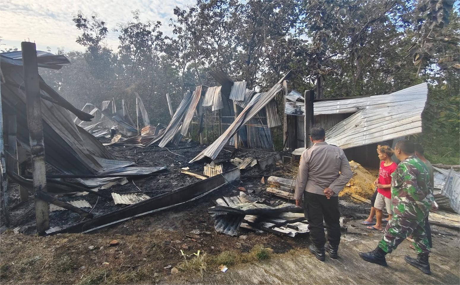 Kebakaran Kandang di Ponorogo, Belasan Ribu Ayam Terpanggang, Karyawan Dengar Suara Ledakan