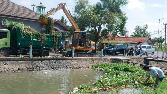 Bersihkan Sampah Menumpuk di Saluran Mangetan Kanal, Pemkab Sidoarjo Kerahkan Alat Berat
