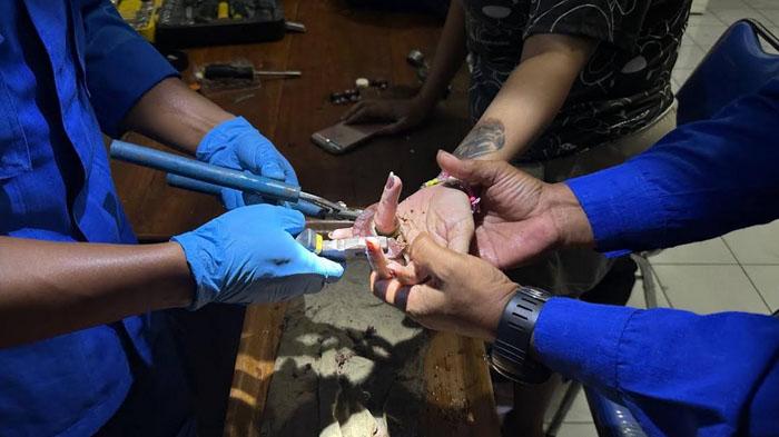 Gara-gara Iseng, Wanita Trenggalek Datangi Kantor Satpol PP Malam-malam, Ada Mata Gerinda Nyangkut