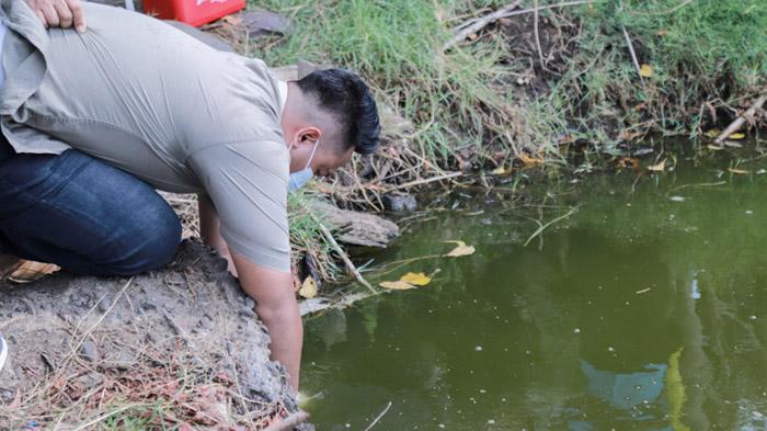Lakukan Uji Laboratorium, Pemkab Jember Ambil Sampel Air Sungai yang Diduga Tercemar Limbah Tambak
