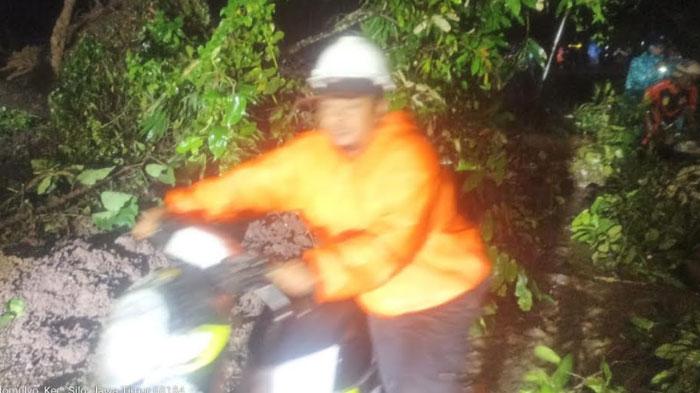 Awas! Jalur Gunung Gumitir Jember-Banyuwangi Tertutup Longsor, Satu Pemotor Tertimpa Pohon Tumbang