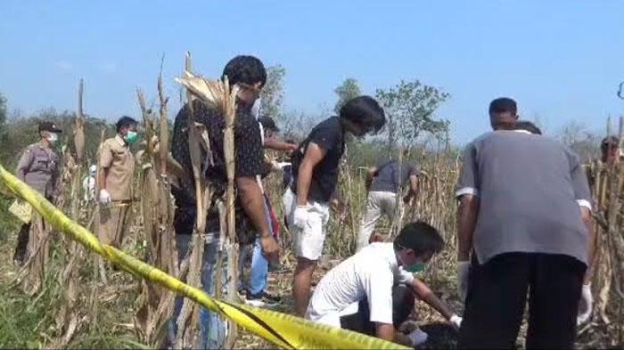 Geger Warga Ngawi Temukan Jasad Perempuan di Lahan Jagung, Posisi Celana Jadi Sorotan, Kondisi Miris