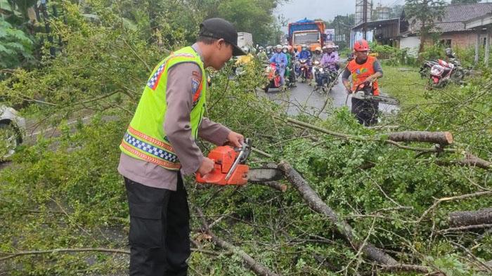 Proses-pembersihan-pohon-tumbang-di-Jalan-Nasional-Trenggalek-Tulungagung-Desa-Bendorejo.jpg