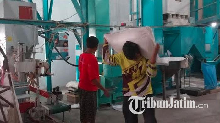 Proses-produksi-di-penggilingan-padi-CV-Sami-Jaya-di-Kecamatan-Glagah-Banyuwangi-ilustrasi-beras.jpg