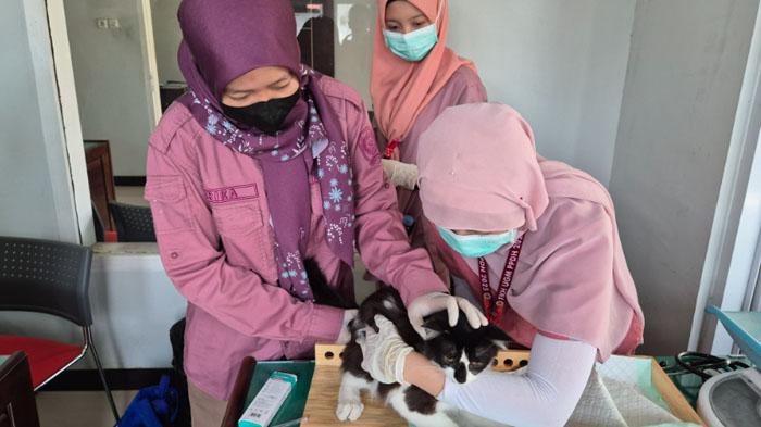Disnak Keswan Tulungagung Siapkan 100 Dosis Vaksin Gratis untuk Hewan Peliharaan