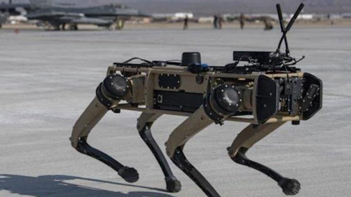ROBOT-ANJING-Perusahaan-militer-Israel-membeli-robot-anjing-untuk-digunakan-dalam-perang-Gaza.jpg