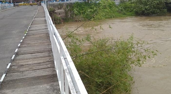 Dampak Banjir Besar di Kediri, Rumpun Bambu Besar Tersangkut di Bawah Jembatan Lama