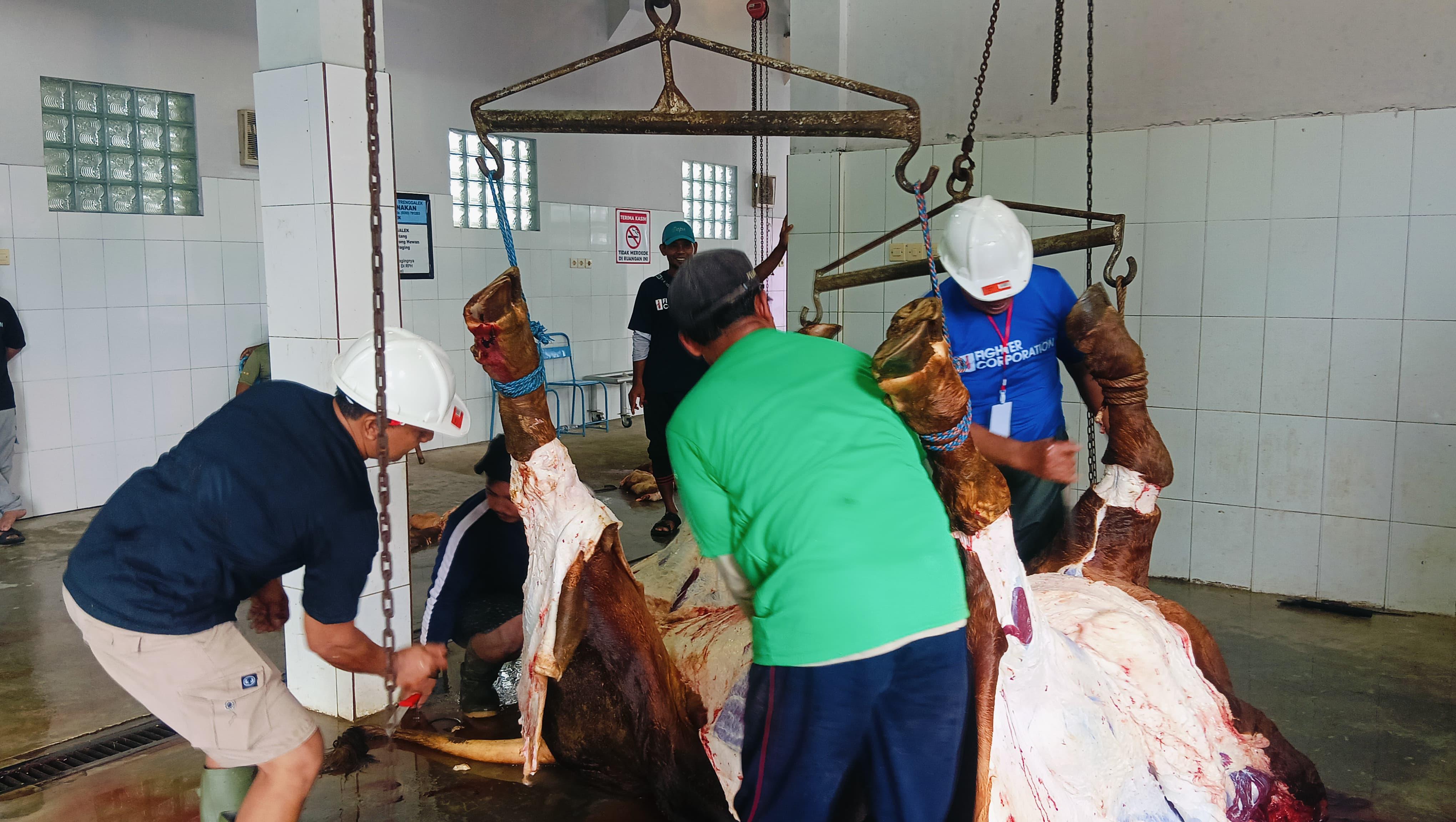 Iduladha 2026, RPH Trenggalek Sembelih 1 Ton dari Pengusaha untuk yang Pertama Kalinya