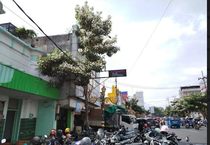 Salah-satu-pohon-Tabebuya-di-kawasan-Kayutangan-Heritage-telah-bermekaran-Minggu.jpg