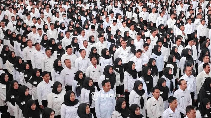 Sebanyak-1819-pelamar-telah-mendaftarkan-diri-untuk-ikut-dalam-seleksi-CPNS-Kabupaten-Trenggalek.jpg