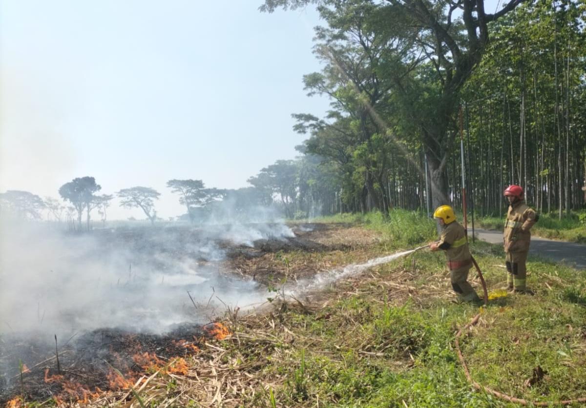 Suasana-pemadaman-kebakaran-di-lahan-tebu.jpg